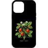 The Botany Bureau Custodia per iPhone 12 Pro Max Illustrazione della pianta di fragola Fragaria × ananassa
