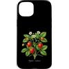 The Botany Bureau Custodia per iPhone 15 Plus Illustrazione della pianta di fragola Fragaria × ananassa