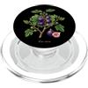 The Botany Bureau Fig Tree illustrazione Ficus carica PopSockets PopGrip per MagSafe