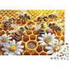 5M3D7C8V Favo Ape Puzzle 1000 Pezzi Gioco di Puzzle 1000 Pezzi Carta Puzzle per Adulti Scena Margherite Relax Famiglia Arredo Regalo 38x26cm/1000pcs