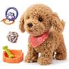 TUMAMA KIDS Giocattolo interattivo per cani per bambini, cane che corre con telecomando, guinzaglio che cammina e abbaia, giocattolo per cani per bambini dai 2, 3, 5, 6 anni, peluche per bambini cani