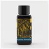 Diamine Inchiostro per penna stilografica, 30 ml, Aurora Borealis
