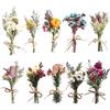 Nizirioo Set di 10 mazzi di fiore secchi naturale - Mini bouquet di fiore secchi naturale - per la casa, il giardino, le feste in ufficio
