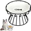 AiQInu Ciotole Per Gatti Rialzate, Ciotola Rialzata per Gatti, Pezzo Ciotola Cibo Gatto Ceramica con Supporto 10cm, per Proteggere Collo & Stomaco, 15cm Ampia Apertura Anti - Affaticamento Baffi