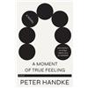 Peter Handke A Moment of True Feeling (Tascabile)