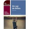 Colin Povey Oxford Literature Companions: Un sac de billes: study gu (Tascabile)