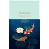 Hermann Hesse Siddhartha (Copertina rigida) Macmillan Collector's Library