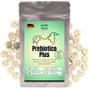 people who kaer for dogs + cats Prebiotici per Cani - Fermenti Lattici e Fibre per la Flora Intestinale, presso Prurito, Zampe, Ghiandole Anali e bruciore di stomaco, 60 Drops