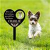 zouwii Palo commemorativo a Forma di Cuore per Animali Domestici con Foto - Segna Tomba Personalizzato per Cani e Gatti, Regalo di condoglianze in Metallo con Ali d'Angelo e Date per Prato