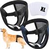 Weewooday Pantaloni per Cani 2 Confezioni con 6 Assorbenti per Femmine, XL | Mutande Protettive Lavabili per Cani in Calore, Sanguinamento Mensile, Colori Nero e Blu, Pannolini Riutilizzabili