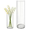 MELEJIA Set di 2 Vasi in Acrilico, Rotondo Vaso Trasparente, Vaso Indistruttibile Leggero, Vasi Trasparente Resistente per Fiori Freschi/Finti, Decorazione Interna/Esternea (10 x 20cm e 12 x 40cm)