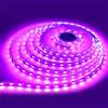 iNextStation Striscia LED 12V Rosa, 5M Strisce LED Dimmerabile, 300 LEDs | SMD5050 Alta, Tagliabili Autoadesiva Luci Luminosa per Cucina Scrivania Retroilluminazione TV Bar San Valentino Decorare