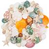 KAHEIGN 15 Tipi Conchiglie Oceano Miste, 600g 3-7CM Varie Dimensioni Stelle Marine di Conchiglie Naturali Riempitivi per Vasi di Acquari per Fai da Te Artigianato Casa Matrimonio Festa Decorazioni