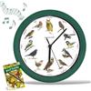 STARLYF Orologio da parete Birdsong Clock, Con suoni reali di 12 diversi uccelli, calendario del silenzio di notte, Ogni ora canta uno dei 12 uccelli canori locali, 25 cm di diametro