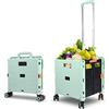 CROSS ZEBRA Carrello Della Spesa Pieghevole, Carrello Multiuso Portatile Multifunzionale di Grande Capacità da 54L/45KG con Manico Telescopico e 4 Ruote Girevoli Smontabili per lo Shopping da Viaggio, Verde