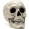 JOYIN - Modello di Teschio Umano a Grandezza Naturale di Halloween, Decorazione di Scheletro di Halloween per Interni ed Esterni per Dolcetto o Scherzetto