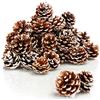 COM-FOUR® 30x Pigne decorative - pigne come decorazioni natalizie o autunnali - decorazione da cospargere - decorazioni natalizie piccole (30 pezzi - punta bianca)