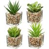 Briful Piante grasse artificiali, set di 4 piccole piante finte in vasi di vetro quadrati, piante artificiali da interno per bagno, camera da letto, cucina, decorazione per la casa
