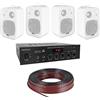 SHARD-LAB IMPIANTO AUDIO FILODIFFUSIONE PARETE 100V amplificatore BT+ 4 altoparlanti + cavo SISTEMA AUDIO LOCALI PUB LIDI SUPERMERCATI