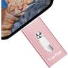 Yueflue Senza APP Yueflue 128 GB Memoria Esterna per lPhone/lPadAndroid/Mac/PC