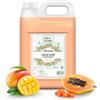 IDEA HOME AROMÉA Sapone Liquido Mani Tropical Fruit - Tanica Ricarica 5 L - per Dispenser Manuali e Automatici - Uso Professionale e Domestico
