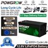 POWGROW Batteria LiFePO4 12V 24V 100AH 300AH, Batterie al Litio Ferro Fosfato per Camper, Auto da Turismo, Solare, RV, Disponibilità EU, Esente IVA