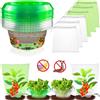 NONE Set di 20 Collari con 20 Viti e Rete Anti-Insetto, Protezione Piante, Barriera da Giardino, per Piantine, Ortaggi, Fiori