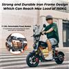 iScooter Monopattino Elettrico IScooter DX5, Motore da 1500W, Batteria da 15.6Ah, Autonomia di 60-70 km, Velocità Massima di 50-55 Km/h, Funzione NFC