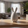NONE Coniglietto Bunny Egg Minimal - Design Contemporaneo in Bianco Opaco