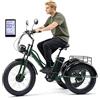Generic Triciclo elettrico cargo per senior, pneumatici larghi da 24'', telaio in acciaio al carbonio, autonomia di 65 km, cestino, display LCD, faro a LED, clacson di sicurezza, colore verde.