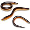 Generic 3 Esche Anguilla 30 cm 59 g, Esche Morbide in Silicone for la Traina