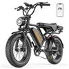 VOROREN BK20 Bici Elettrica Adulti 20x4.0 Fat Tire, Città e Fuoristrada, CE EN15194, Batteria 48V 20Ah, 5 Livelli Assistenza, Autonomia 80-100km, Sospensione e Freni a Disco