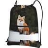YYHHAOFA Funny Fox Prints, zaino con coulisse e cerniera, impermeabile, da viaggio, con tasca frontale e organizer interno