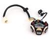SAMWDK Magneto Per 50cc 70cc 90cc 110cc 125cc Quad Dirt Bike ATV Go Kart Buggy 6 Poli Avviamento Elettrico Magneto Statore Generatore Statore 6-Bobine