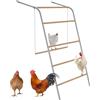 SUBTLETY Posatoi per gabbie per uccelli, 5 livelli, in legno, con altalene, parco giochi per polli, galline, giocattolo per pollo, compatibile con recinti e pollaio (tipo C)