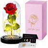 TWBEST La Bella e La Bestia Rosa Eterna,Rosa Bella e La Bestia con Luce a LED con 1 Biglietto di Auguri,Romantico Kit di Rose per Il San Valentino Anniversario Matrimonio Regalo di Festa della Mamma