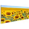 islandburner Quadri Moderni Bellissimo Campo di Girasole in Estate Stampa su Tela - Quadro x poltrone Salotto Cucina mobili Ufficio casa - Fotografica Formato XXL DAK