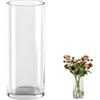 QEEYON Vaso cilindrico in vetro, alto 25 cm, grande, in cristallo ispessito, per composizione floreale di fiori, centrotavola, soggiorno, cucina, ufficio, matrimoni (25 x 10 cm)