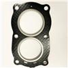 AYZLGAA for la Guarnizione della Testata del Motore fuoribordo Johnson Evinrude 2.5 3 4 4.5hp