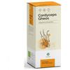 GHEOS SRL CORDYCEPS GHEOS 90CPS