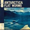 Flat Worms Antarctica (Cassette)