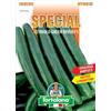 L'ORTOLANO Sementi di ortaggi ibride e selezioni speciali ad uso amatoriale in buste termosaldate (80 varietà) (CETRIOLO GREEN RIVER F1)