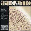 Thomastik-Infeld Thomastik Corda per Contrabbasso 3/4 Belcanto - corda Fa# (Fa diesis) nucleo corda d'acciaio, rivestimento cromato, accordo solo, media