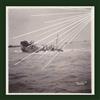 Sontag Shogun Tale (CD) Album