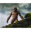BANDAI action figure Godzilla x Kong: set Suko e Mothra in box