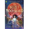 Puffin The Secret of the Moonshard: A magical fantasy adventure for 9-12 year olds