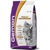 Gemon Monge Gemon Pollo e Tacchino 2Kg Crocchette Gatti Adulti