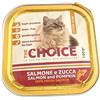 The Choice Patè Adult Salmone e Zucca 100g Vaschetta Gatti Adulti
