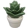 GMMH Cactus in ceramica cactus modellini a scelta, vaso decorativo in ceramica (altezza 22-2 cm)