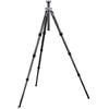 Gitzo Treppiedi Mountaineer in Carbonio 6X, 4 Sezioni con G-Lock Long, Nero/Antracite